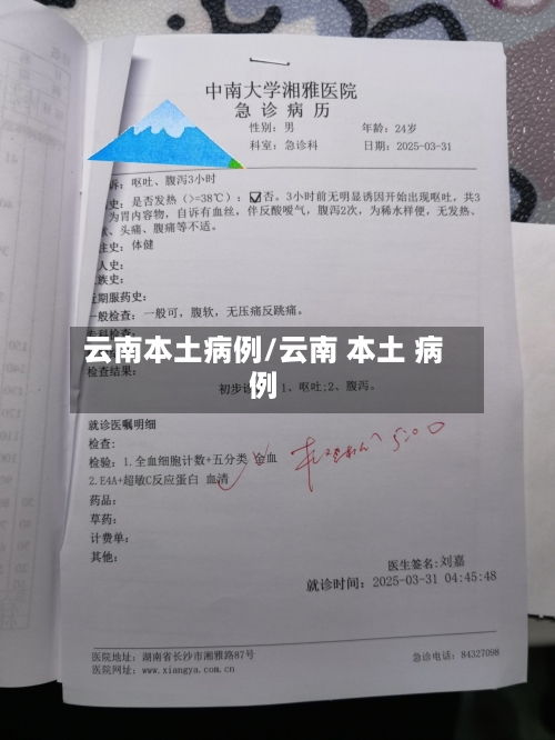 云南本土病例/云南 本土 病例