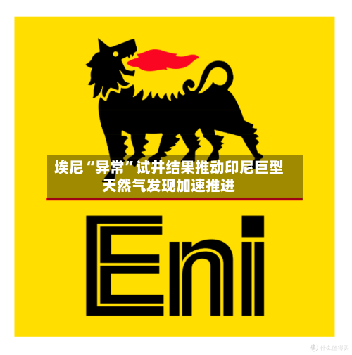 埃尼“异常”试井结果推动印尼巨型天然气发现加速推进