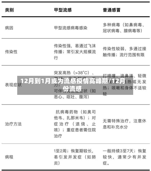 12月到1月或为流感疫情高峰期/12月份流感