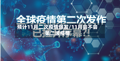 预计11月二次疫情爆发/11月会不会第二波疫情