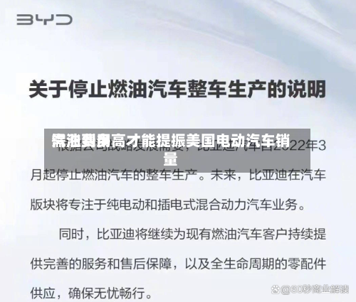 汽油费用需涨到多高才能提振美国电动汽车销量