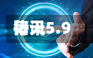 每天猪讯5.9