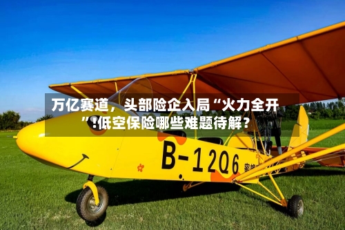 万亿赛道，头部险企入局“火力全开”!低空保险哪些难题待解？
