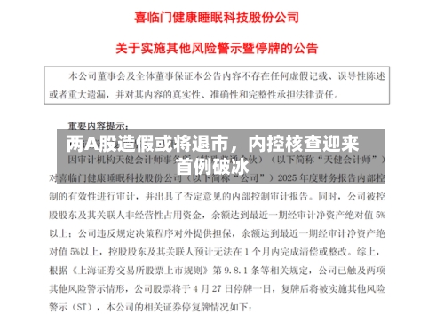 两A股造假或将退市，内控核查迎来首例破冰
