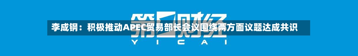 李成钢：积极推动APEC贸易部长会议围绕两方面议题达成共识