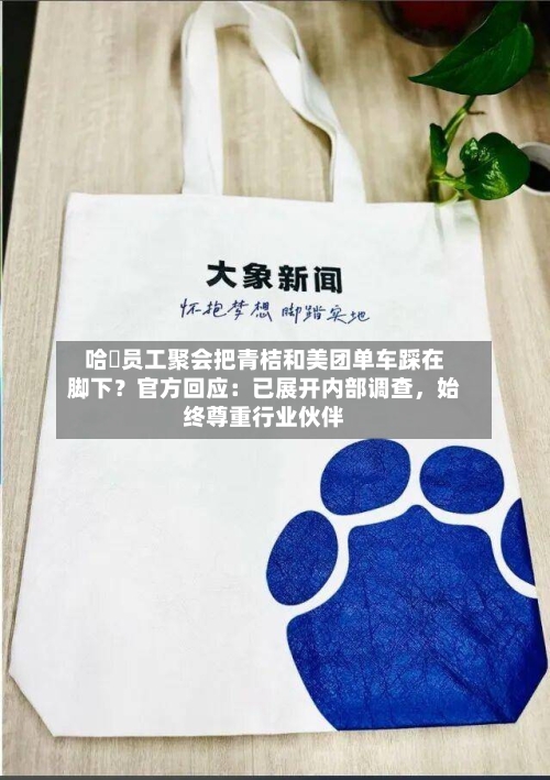 哈啰员工聚会把青桔和美团单车踩在脚下？官方回应：已展开内部调查，始终尊重行业伙伴