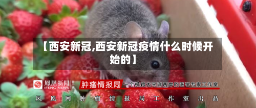 【西安新冠,西安新冠疫情什么时候开始的】