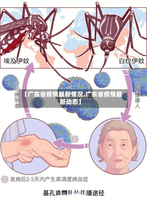 【广东省疫情最新情况,广东省疫情最新动态】