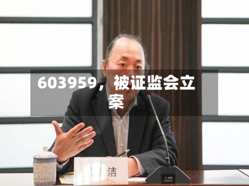 603959，被证监会立案