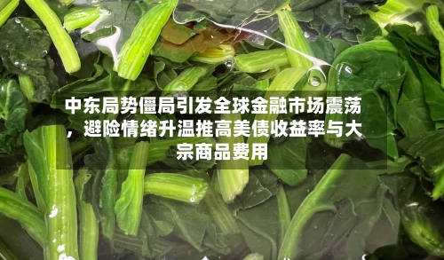 中东局势僵局引发全球金融市场震荡，避险情绪升温推高美债收益率与大宗商品费用