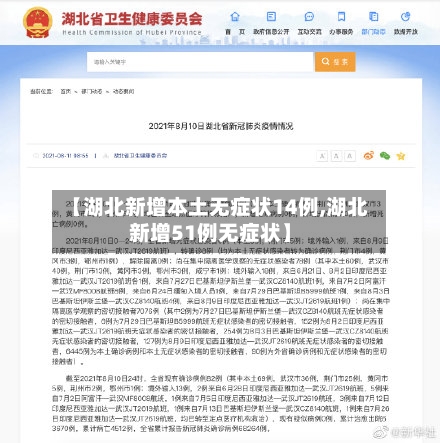 【湖北新增本土无症状14例,湖北新增51例无症状】