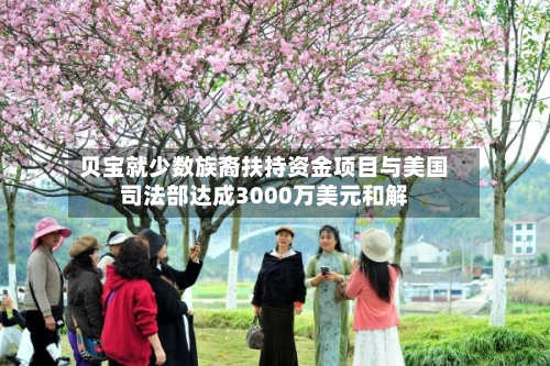 贝宝就少数族裔扶持资金项目与美国司法部达成3000万美元和解