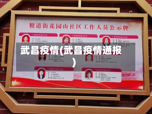武昌疫情(武昌疫情通报)