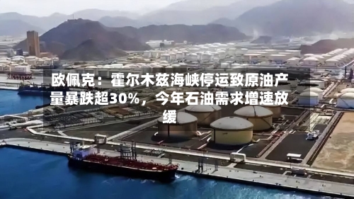 欧佩克：霍尔木兹海峡停运致原油产量暴跌超30%，今年石油需求增速放缓
