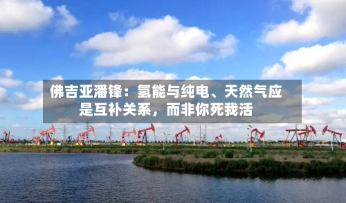 佛吉亚潘锋：氢能与纯电、天然气应是互补关系，而非你死我活