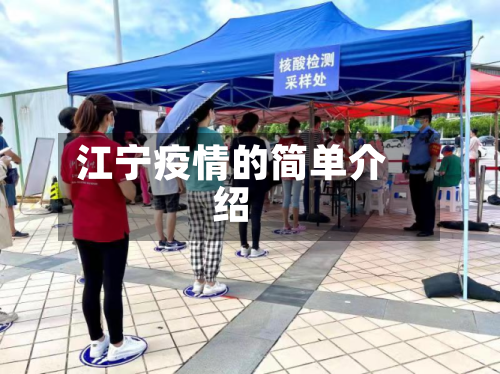 江宁疫情的简单介绍