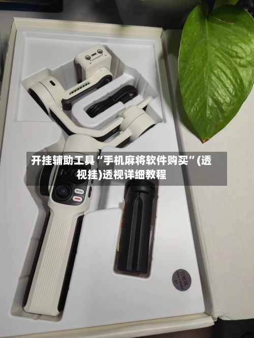 开挂辅助工具“手机麻将软件购买”(透视挂)透视详细教程
