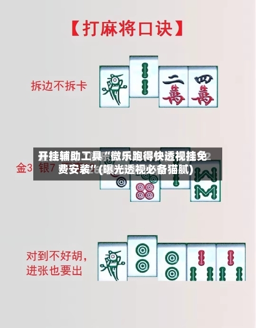 开挂辅助工具“微乐跑得快透视挂免费安装”(曝光透视必备猫腻)