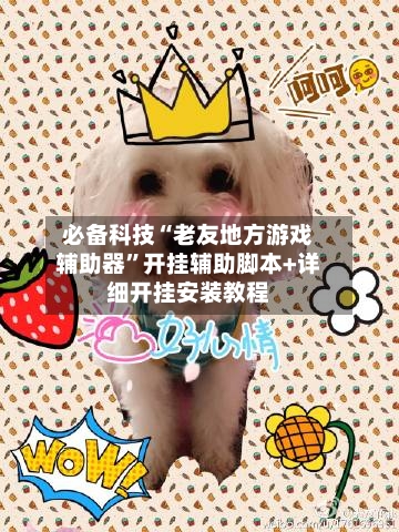 必备科技“老友地方游戏辅助器”开挂辅助脚本+详细开挂安装教程